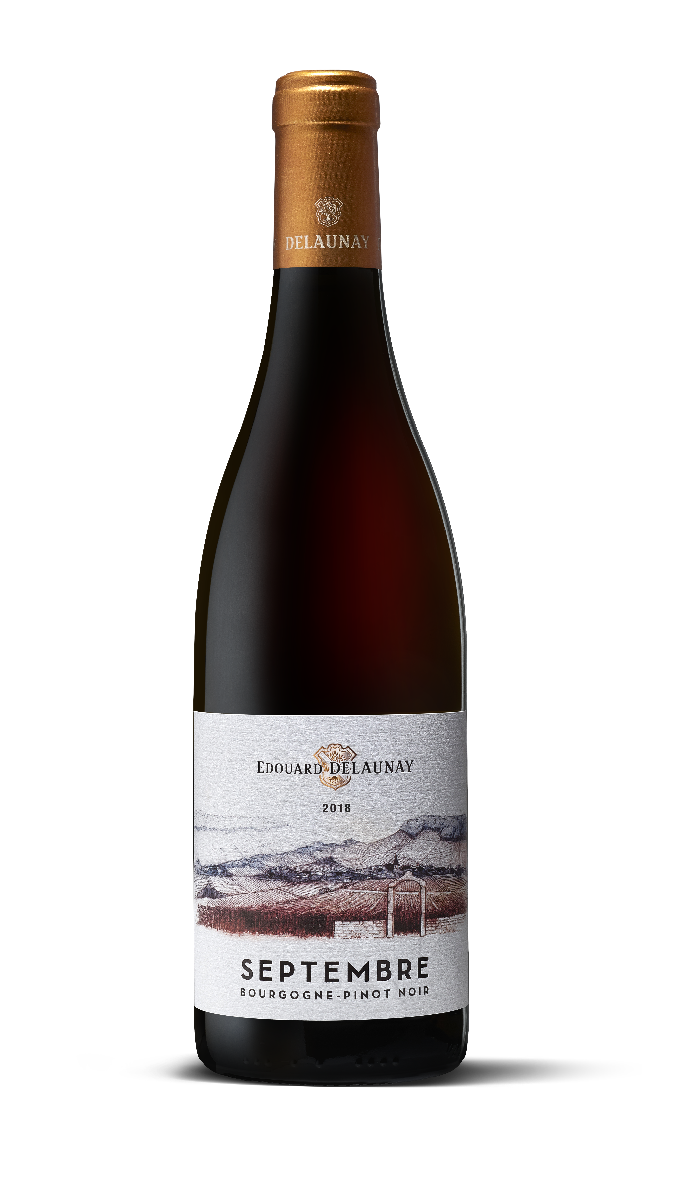 Septembre Bourgogne Pinot Noir 2018 Edouard Delaunay-0