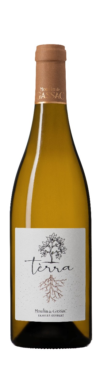 Terra Blanc