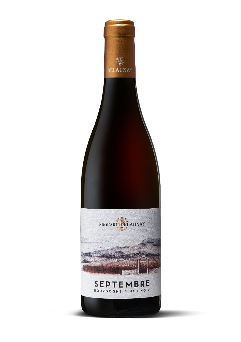 Bourgogne Pinoit Noir Septembre 2022 - Edouard Delaunay-0