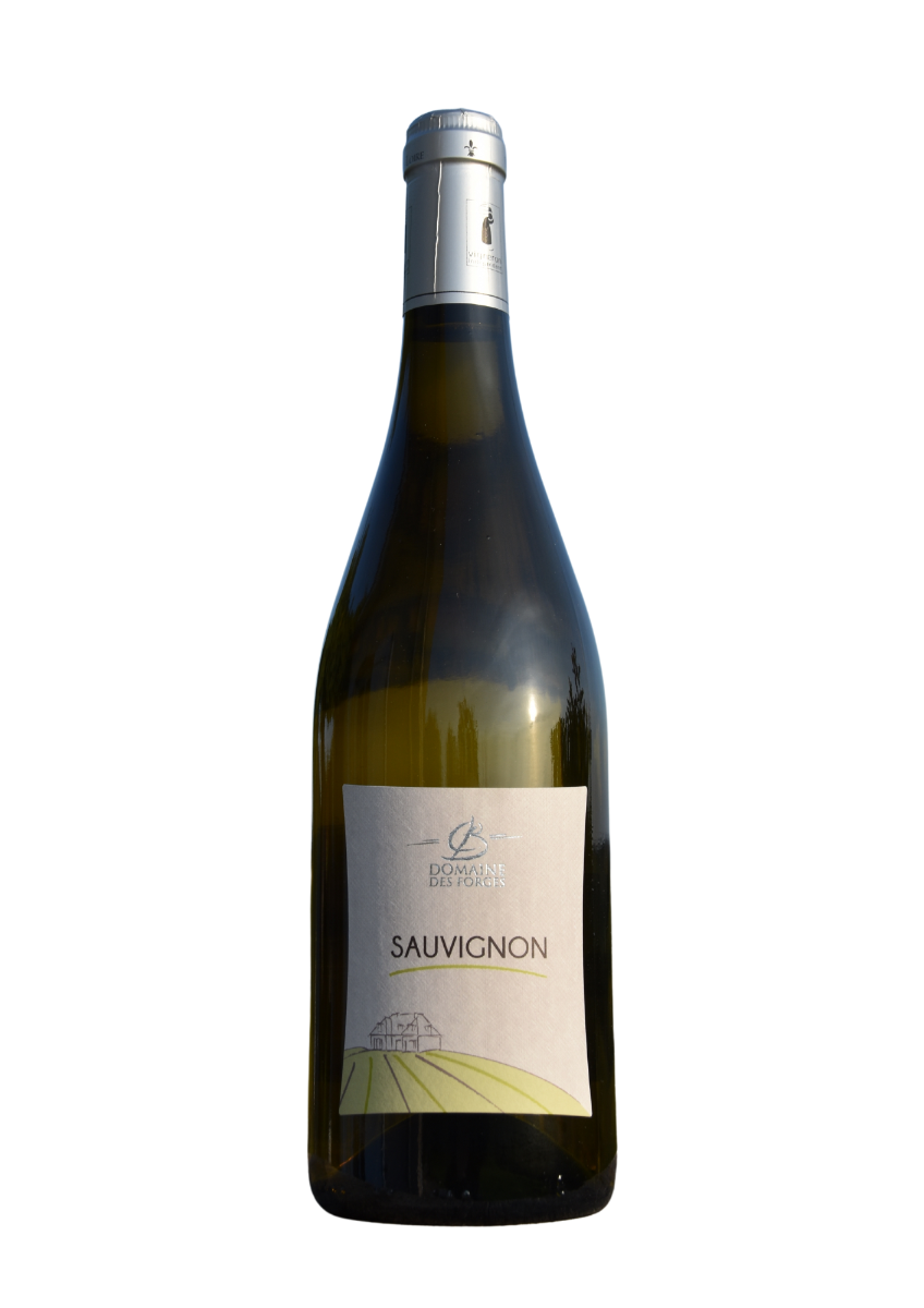 Sauvignon 2023 Domaine des Forges -0