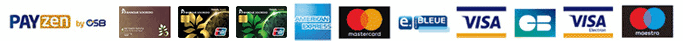 payment-icons1