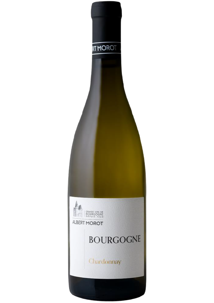Bourgogne Chardonnay Albert Morot 2023 75cl